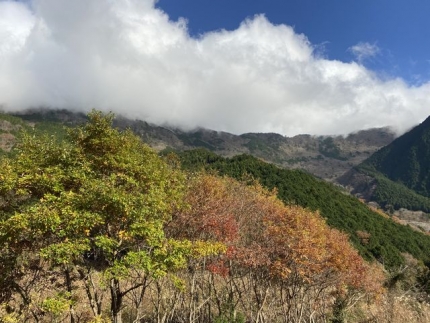 青笹山から仏谷山縦走 (9)