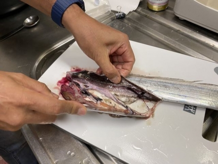 太刀魚 (2)