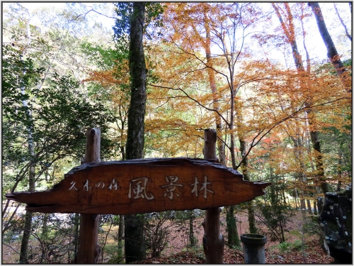 高知県四万十町　久木の森山風景林