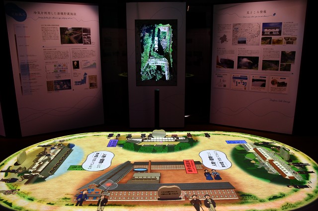 展示 Ⅳ