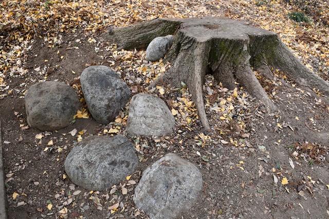 岡部神社　謎の石