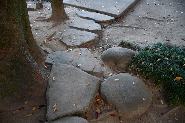 旧渋沢邸「中の家」　庭の石