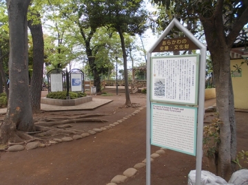 DSCN3018.jpg