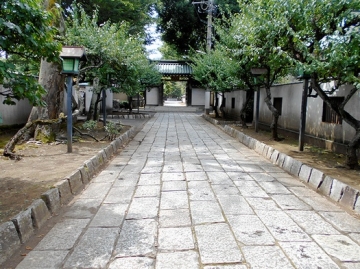 DSCN5203.jpg