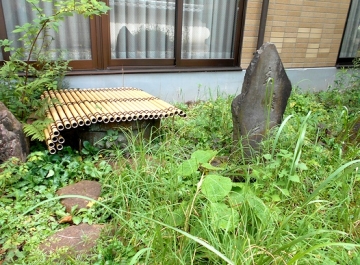 DSCN5207.jpg
