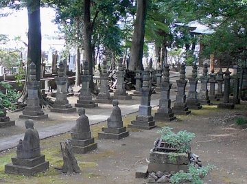 DSCN5351b.jpg