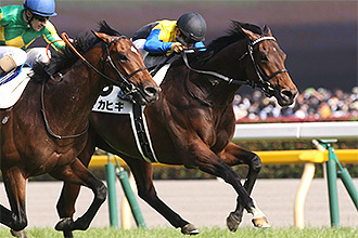 第83回日本ダービー馬