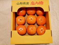 庄内柿