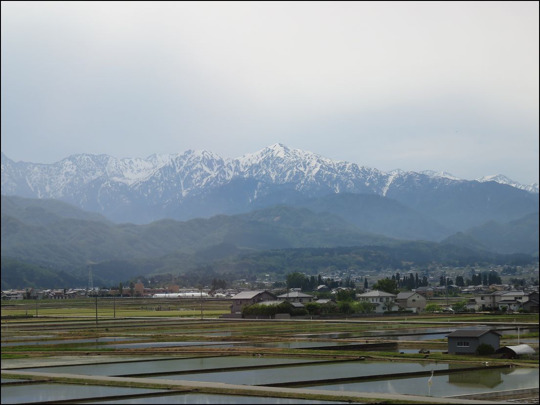 富山市の絶景ポイントは市役所（タダ♪）★富山の旅行記はじめます