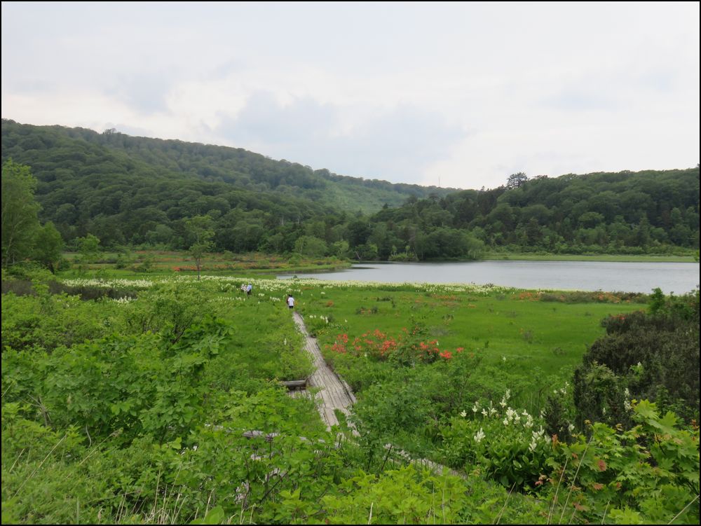 大沼自然研究路お散歩＠秋田八幡平、温泉とトレッキングの旅