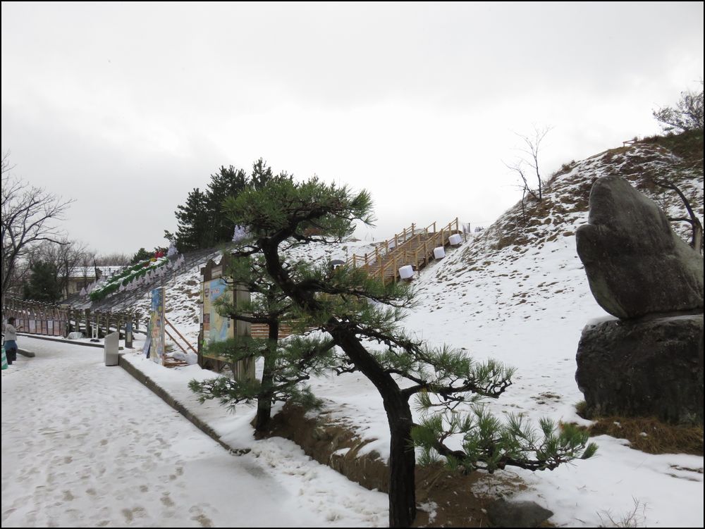 鳥取砂丘に雪が降り積む＠鳥取県/鳥取市