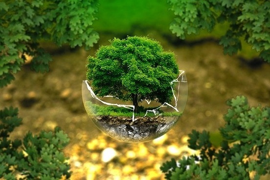 緑の樹　環境のイメージ
