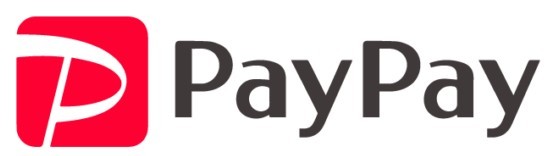 paypay-1016x300.png
