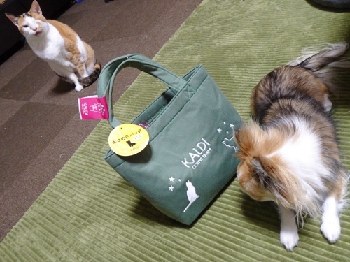 カルディ猫の日バッグ　あられ　杏子