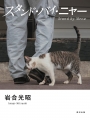 iwagoumituaki-cat-sbhya.jpg