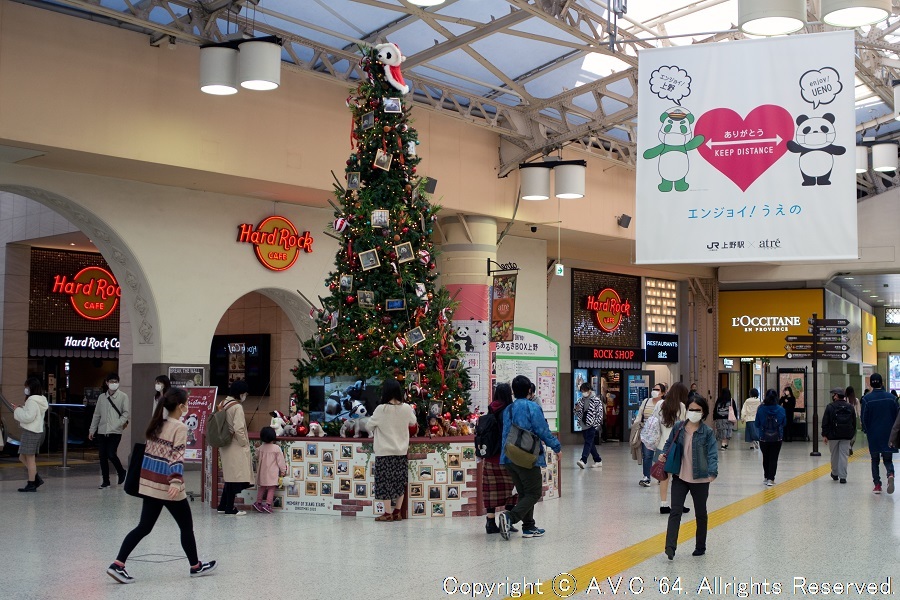 上野駅 シャンシャン ラスト･クリスマスツリー(1) 202011