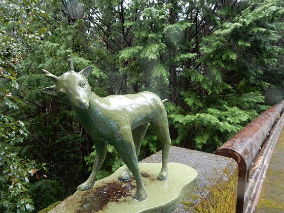 DSCN5915.jpg