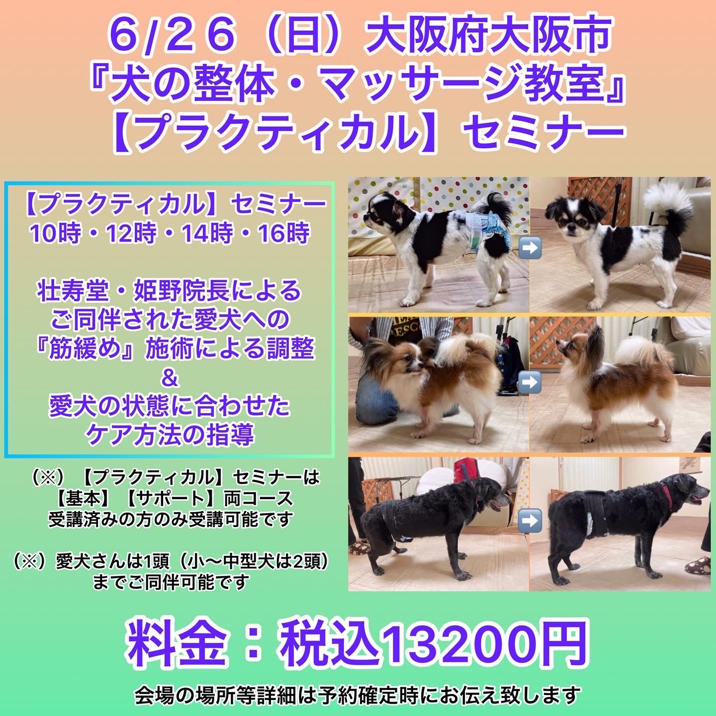 大阪府開催犬の整体マッサージセミナー告知