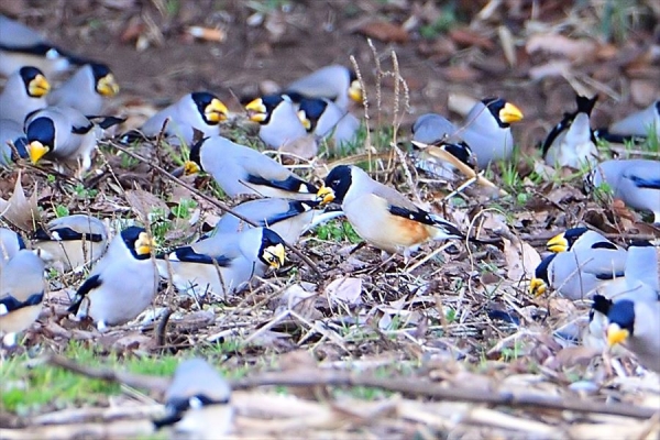 DSC_4876_00001_filtered_R.jpg