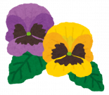 flower_pansy.png