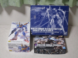 ganpurakounyu200513 (1)