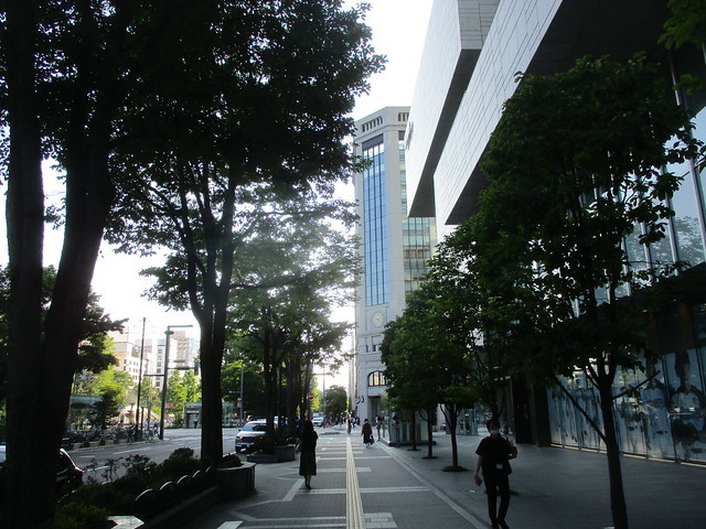 50128229171_fcbfb06c87_z.jpg